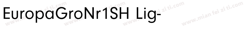 EuropaGroNr1SH Lig字体转换